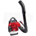 Efco 61.3cc 2-Cycle Back Pack Blower